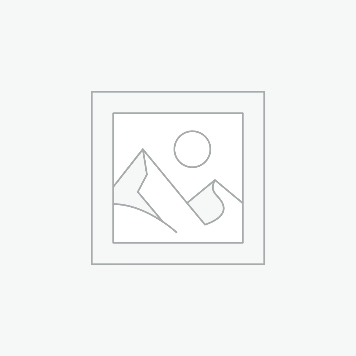 Teacher Laptop Bags